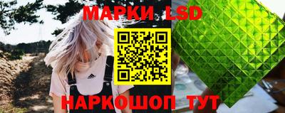 стаф Кинель