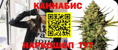 гидропоника Кингисепп