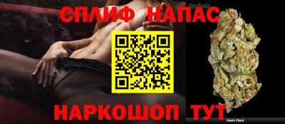 стаф Кинель