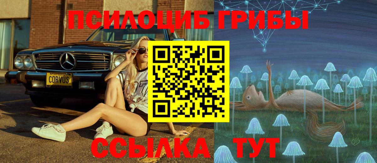 Галлюциногенные грибы MAGIC MUSHROOMS Балашов