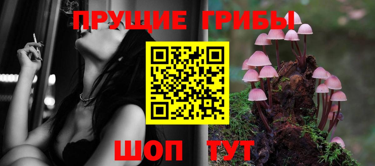 Псилоцибиновые грибы ЛСД  Вход с VPN  Балашов 